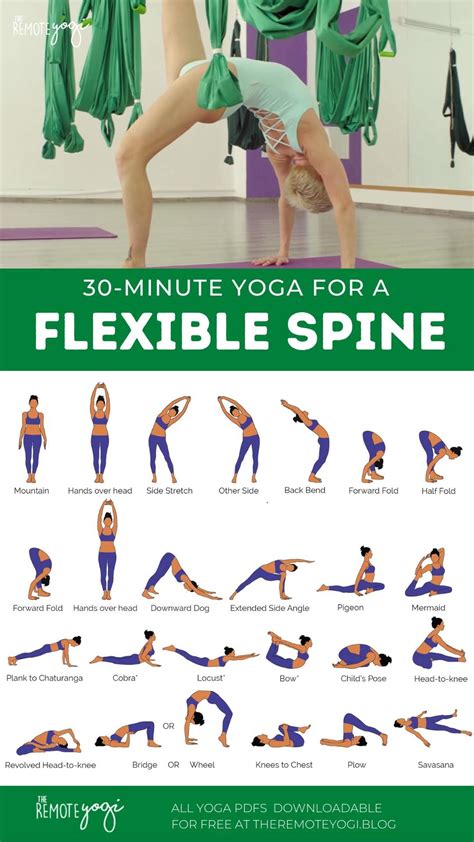 100 Best Lower Back Workouts ideas | back pain exercises, back pain, lower back