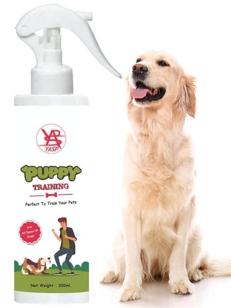 Buy Potty Training Spray for Puppy, Potty Training, Dog Potty Training ...
