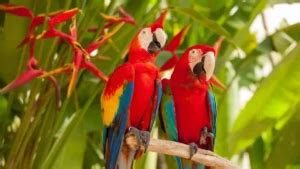 Top-10 Walnut Producing Countries in the World