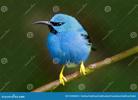 Image result for JavaScript Tutorials Image