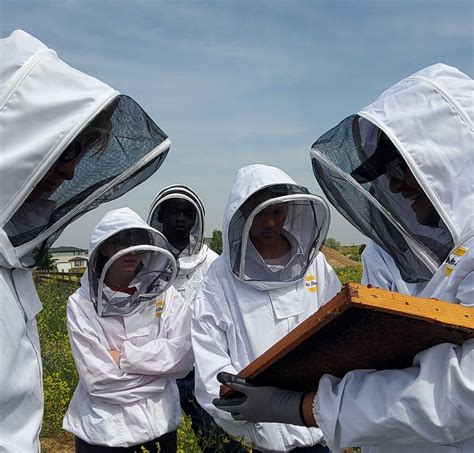 Concurrent Enrollment - The STEAD School