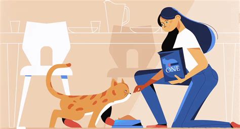 Image result for Multimedia Explainer