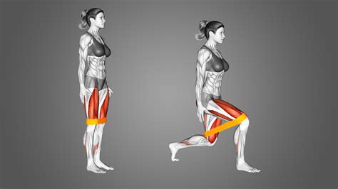 Reverse Lunge Muscles Worked