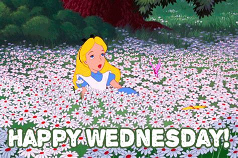 Happy Wednesday GIFs - 50 GIFs of Best Wednesday Wishes