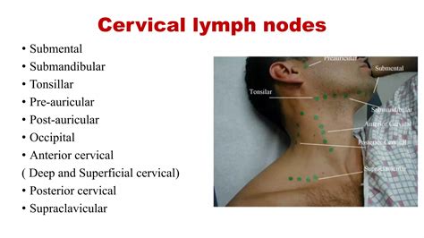 Lymph nodes examination | PPTX