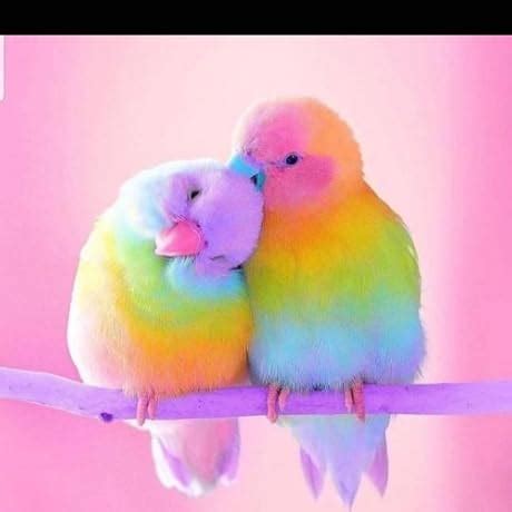 Bioderma Photoderm Aquafluide Sunscreen SPF 50+ Claire - Sun Active ...