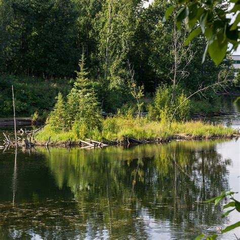 UNIVERSITY LAKE DOG PARK - All You Need to Know BEFORE You Go 2026 ...
