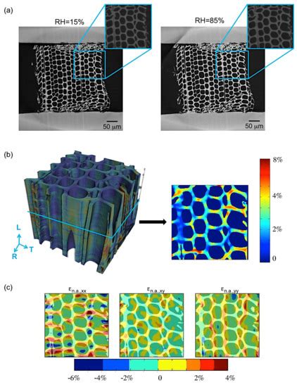 Micro- and Nano-Scales Three-Dimensional Characterisation of Softwood