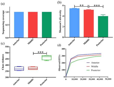 Removal Performances of Turbidity, Organics, and NH4+-N in a Modified ...