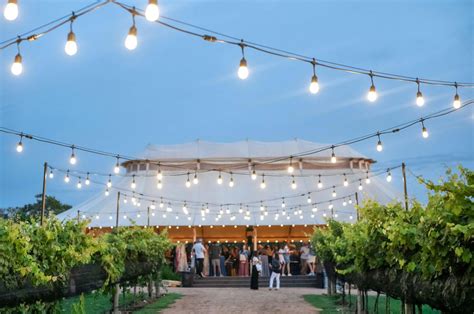 I Love Camp Lucy: 15-Year Celebration + Grape Stomp & Food Festival ...