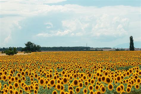 Statistic 的图像结果