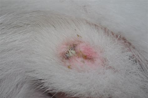 What could this be?? *TMI PICS*