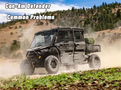 Defender Reviews Problems 的图像结果