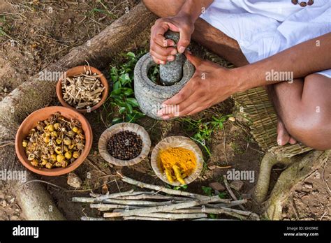 Ayurvedic Herbal Medicine 的图像结果