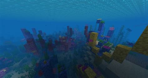 Image result for Ravine Seeds Java