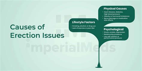 Erection: Types, Stages, and Common Erection Problems Explained