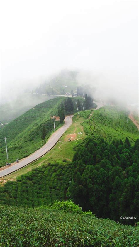 Phone Background 的图像结果