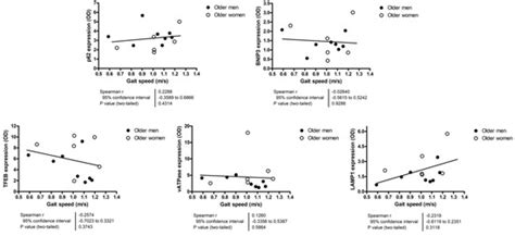 Relationship between Mitochondrial Quality Control Markers, Lower ...