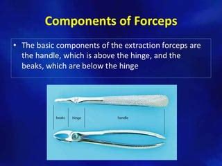 Image result for Simple Tooth Extraction Step