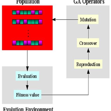 Image result for Genetic Algorithm in Java