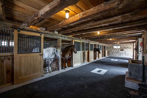 Inside Horse Barn Hold Your Horses! Do Horses Need A Run In Shelter?
