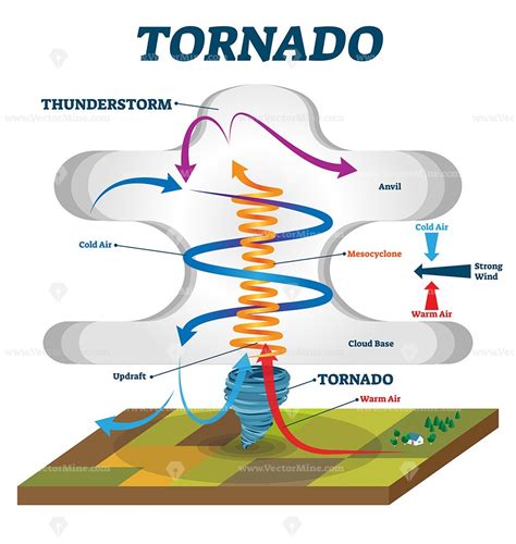Tornado vector illustration. Labeled educational wind vortex ...