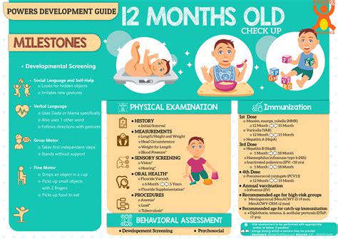 Image result for Normal 12 Month Old Development