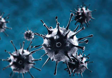 Image result for Virus Scanning Electron Microscope