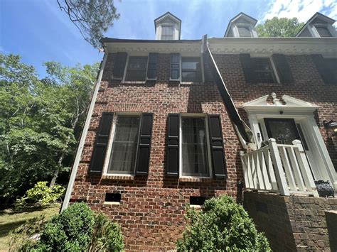 Image result for Tree Rot Damage Repair