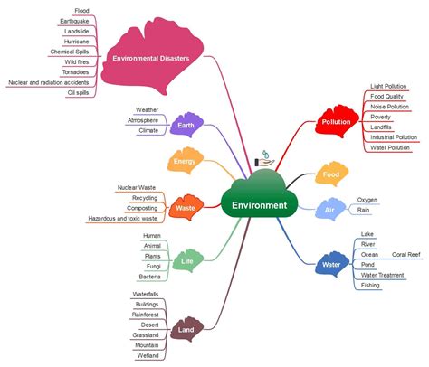 Environment Mind Map 的图像结果