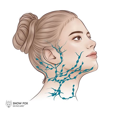 Using Your Fox Face Sculpting Gua Sha - Snow Fox Skincare