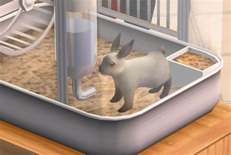 CC Rabbit Cage 的图像结果