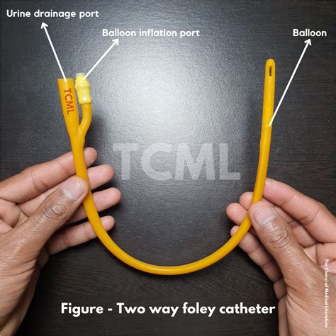 3 way and 2 way foley catheter - TCML Flux