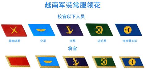 越南士兵军衔，迷彩服和常服的标志不同，是否师从了日军？_领章