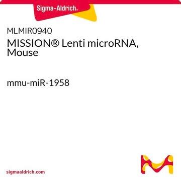 MISSION® Lenti microRNA, Mouse mmu-miR-1958 | Sigma-Aldrich