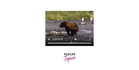 Embed a Video File in HTML 的图像结果