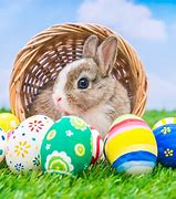 Image result for Stuffed Easter Bunnies