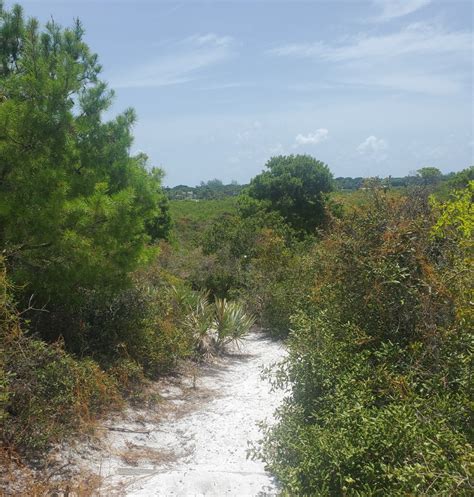 Hobe Sound Nature Center - Trail - ZooChat