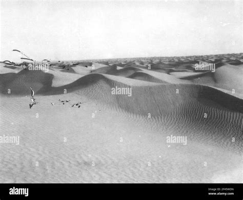 China. Sinkiang (Xinjiang). Takla Makan. Wander dunes (series sand ...