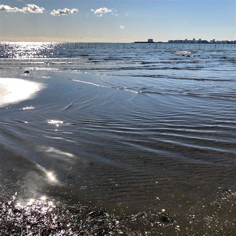 FUNABASHI SANBANZE OCEAN PARK (2026) All You Need to Know BEFORE You Go ...