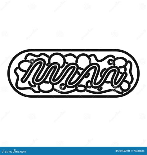 Escherichia Coli Bacteria Showing Nucleoid Inside Cell Membrane Vector Illustration ...