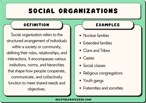 Social Organization Examples 的图像结果