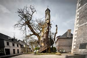 Bizarre trees with a fascinating history