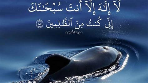 قصة سيدنا يونس عليه السلام كاملة مع الآيات القرآنية التي ذكر بها