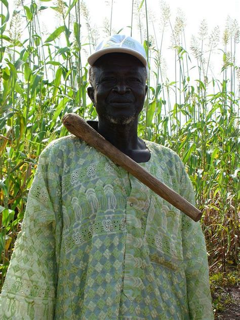 African Farming Methods 的图像结果