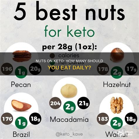 Nuts On Keto: How Many Should You Eat Daily? | ShunKeto