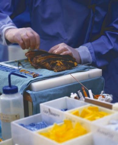 Image result for Forensic Science Test Questions