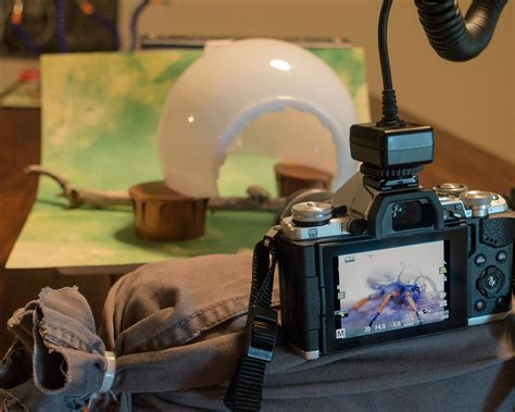 Macro Setup Tutorial 的图像结果