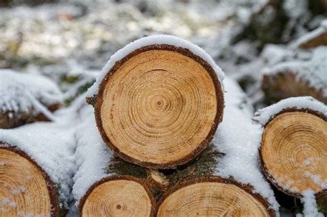 木类行业有哪些
