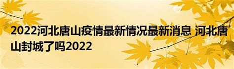 2022唐山学院中外合作办学分数线（含2021年）-粤秀教育